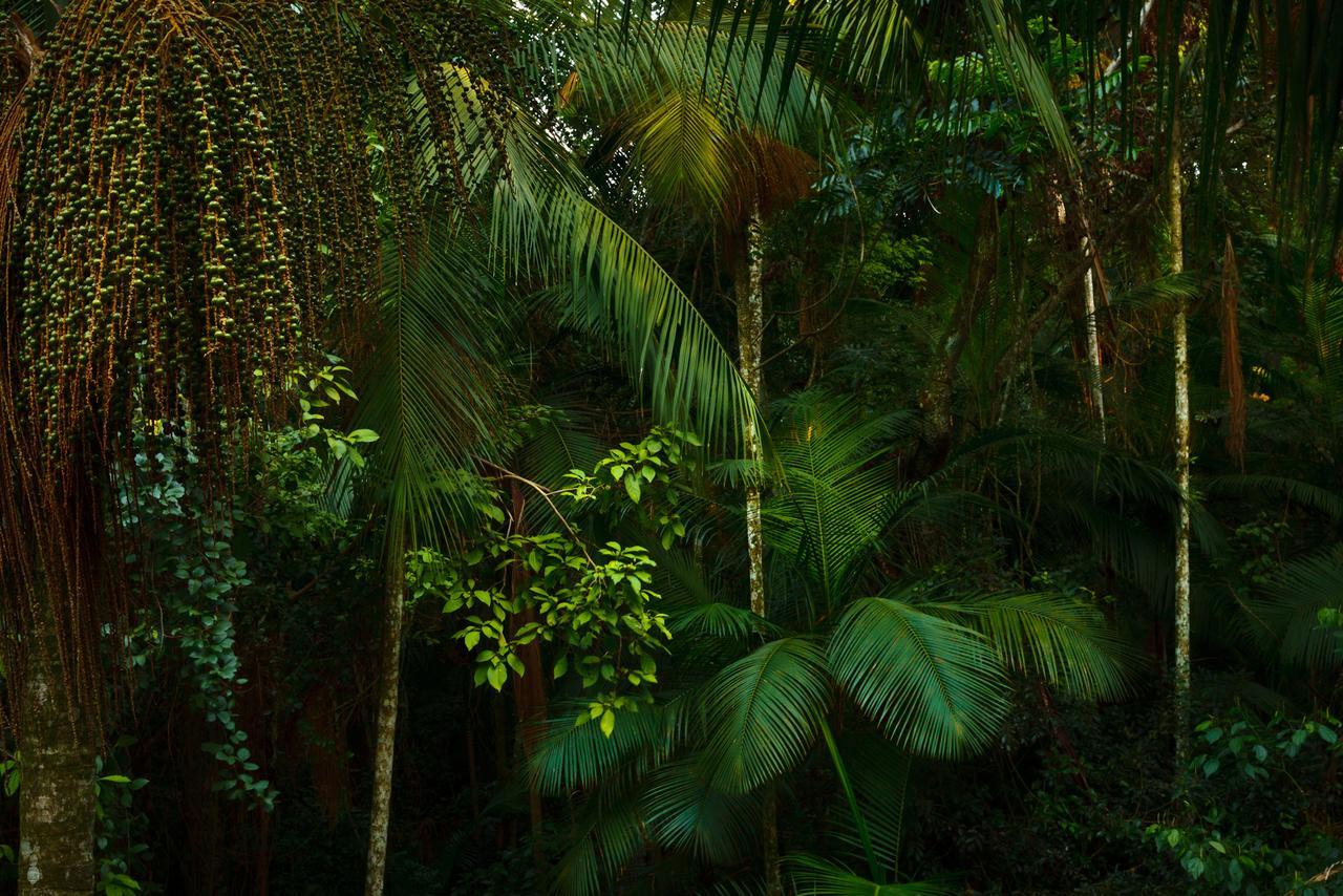 Yacutinga Lodge Puerto Iguazú Exteriör bild