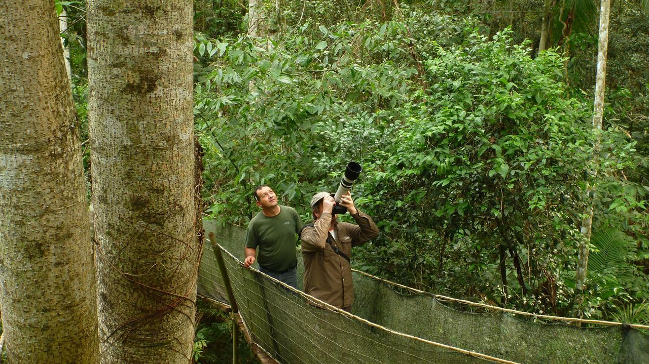 Yacutinga Lodge Puerto Iguazú Exteriör bild