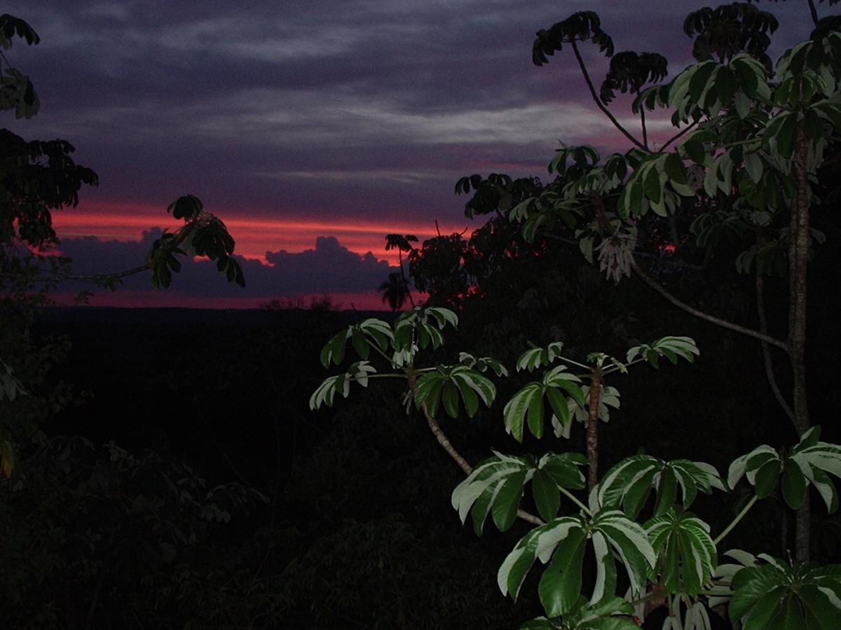 Yacutinga Lodge Puerto Iguazú Exteriör bild